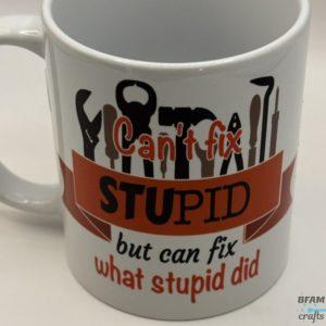 Can't fix Stupid mug